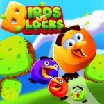 Birds Vs Blocks