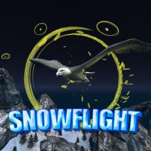Snowflight